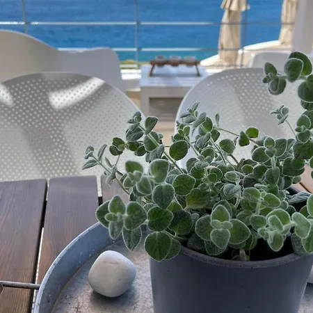 What A View !!! 하니아